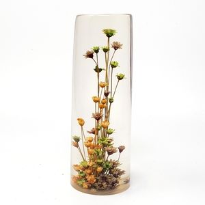 Vintage Daisyglas Lucite Floral Paperweight